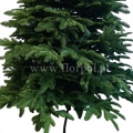 prestige nobilis choinka 13775.jpg