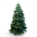 prestige nobilis choinka 13779.jpg