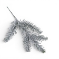 florpol.p  13788.jpg