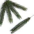 florpol.p  13794.jpg