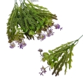 florpol.live 13894.jpg