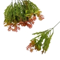 florpol.live 13897.jpg