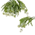 florpol.live 13898.jpg