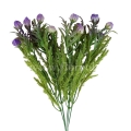 florpol.live 13887.jpg
