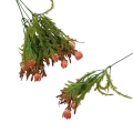 florpol.live 13890.jpg