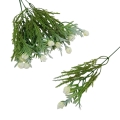 florpol.live 13893.jpg