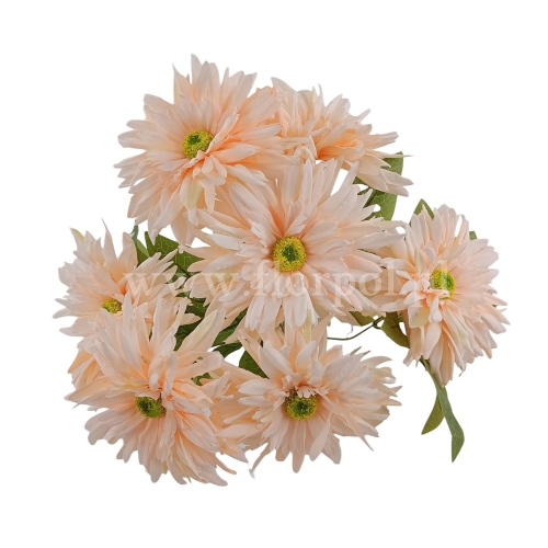 Gerbera pełna w bukiecie 1szt krem (LUX-55511)