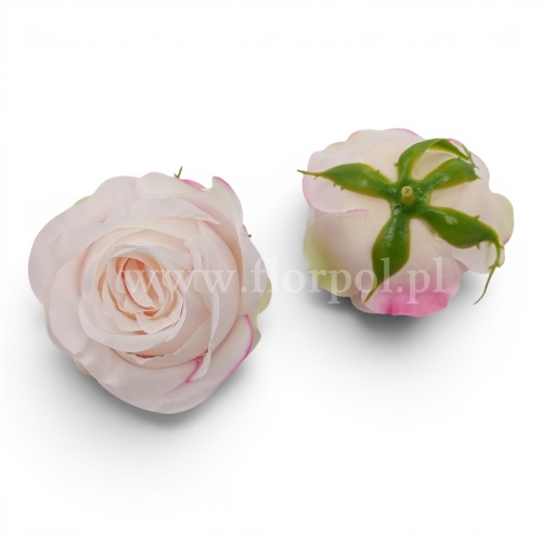 róża cieniowana - wyrobówka 12szt #3061 cream/powder pink (SUN892)