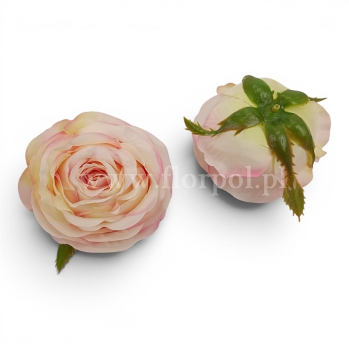 róża pełna - wyrobówka 12szt #3064 apricot cream(SUN891)