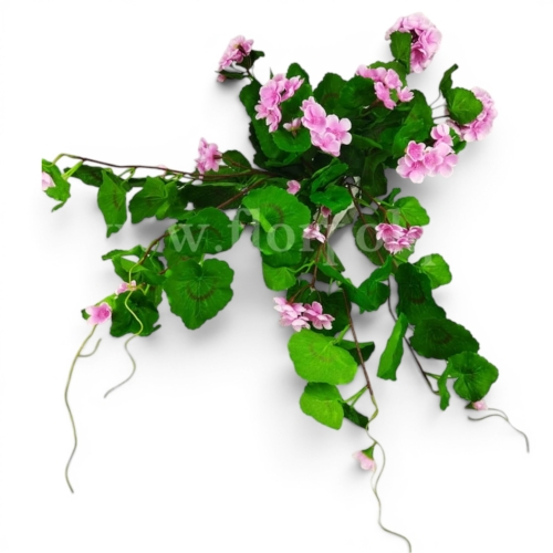bukiet - pelargonia zwisająca 1szt #2204 violet (SUN681)