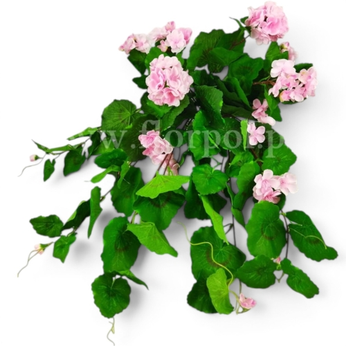 bukiet - pelargonia zwisająca 1szt #2059 lt.pink (SUN681)