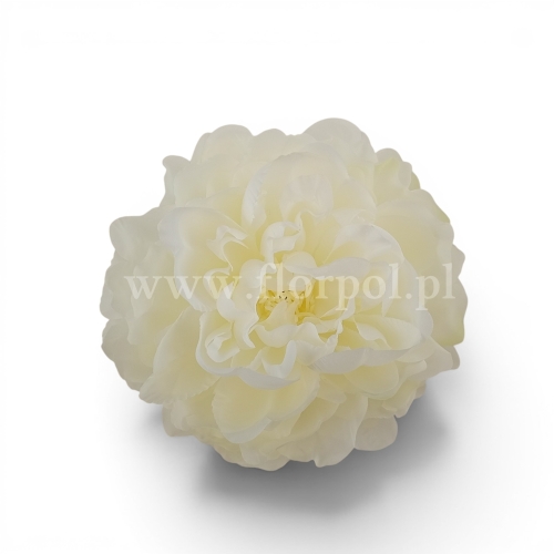 Delikatna peonia wyrobowa 12szt #1331 cream (SUN406)