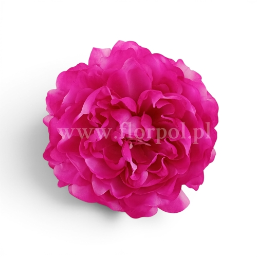 delikatna peonia wyrobowa  12szt #1667 fuchsia/oliwka u nasady (SUN406)