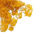 paradowscy_florpol.live 14102.jpg