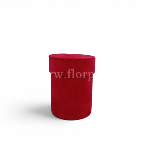 Mini, welurowy box 6szt malina (H2404289)