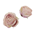 2026 powwder violet green.jpg
