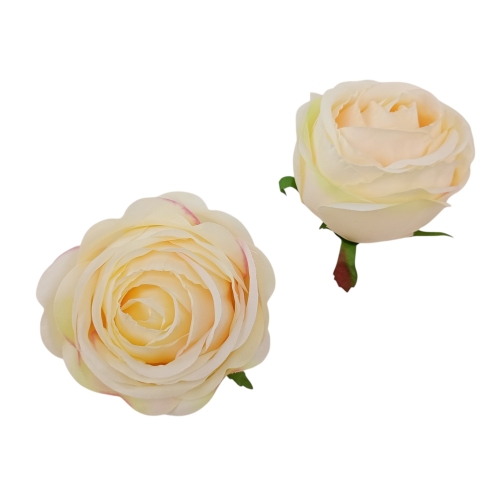 Róża zwijana Poppy Rose  12szt #2285 dr.cream (SUN564)