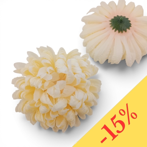Chryzantema ananas 6szt #2 śmietanka/pud.róż u nasady (Basia)