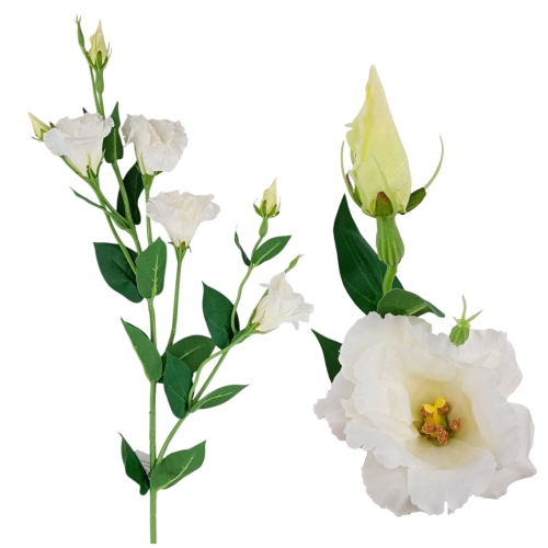 Eustoma atłasowa 7kwiatów- wysoka 1szt #1175 biały/ecru (SUN345)