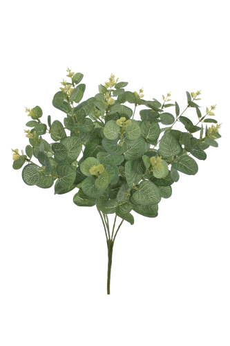 LIU007##GREEN_m.jpg