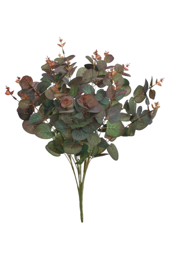 Eukaliptus bukiet BURGUNDY GREEN (LIU007) 