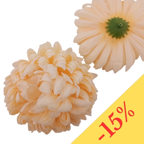 Chryzantema ananas 6szt #47 c.krem/ciemniejsza nasada (Basia)