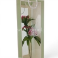 florpol.live 14480.jpg
