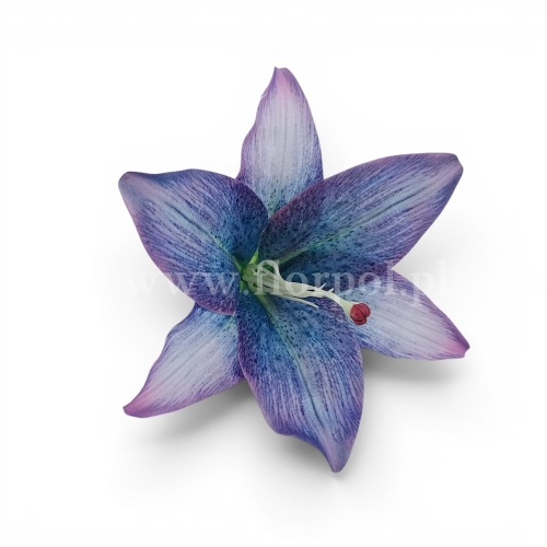 Lilia satynowa, cieniowana 12szt niebieski/fiolet (T140-23-1111H_AUT2)