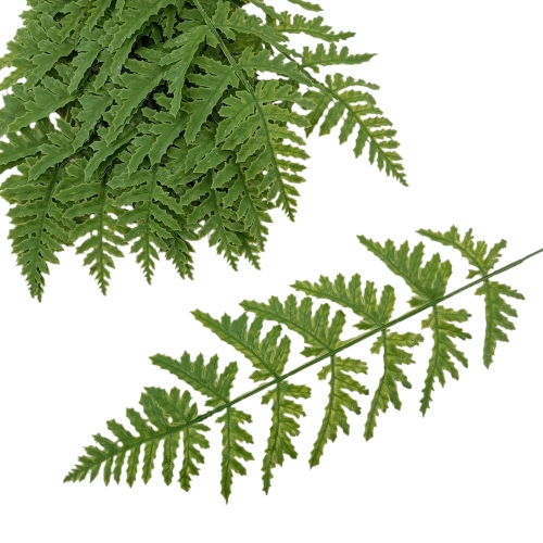 Gumowany liść paproci szerszej 12szt green (P25-22)