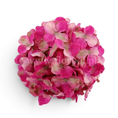 Hortensja wyrobowa XXL 1szt #M1 tt.pink/green (T2-1)
