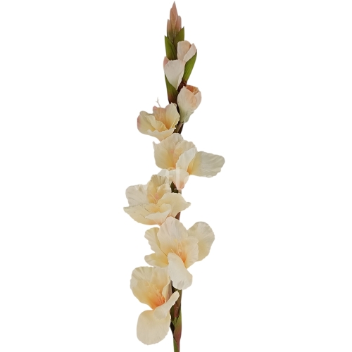 Mieczyk atłasowy – pl końcówka 1szt #3718 vanilla/lt.olive (SUN367)