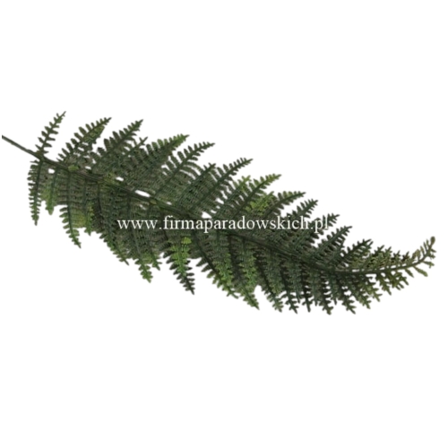 Liść paproci karbowanej 12szt powder green (TIK030)