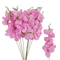 555e98b2591fec05d88cd7fb7760aebb