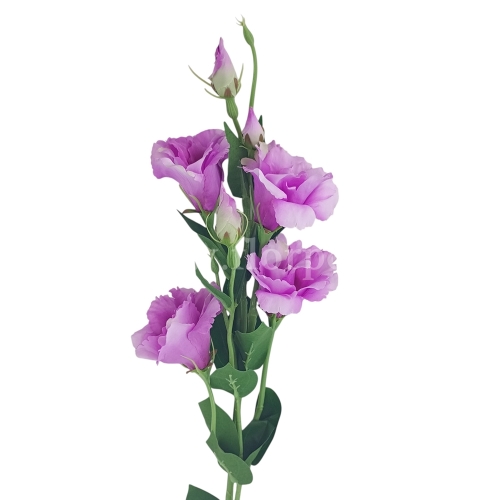Eustoma atłasowa 7 kwiatów/ wysoka/cieniowana #1365 lt.violet (SUN345)