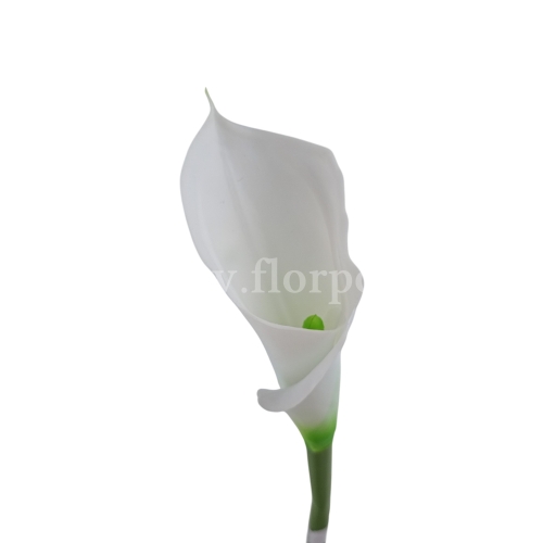 Kalla stulony kielich #1 cream (AL45106)