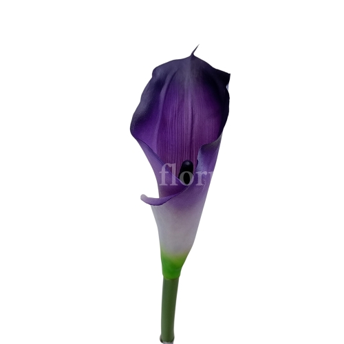 Kalla stulony kielich #184 purple (AL45106)