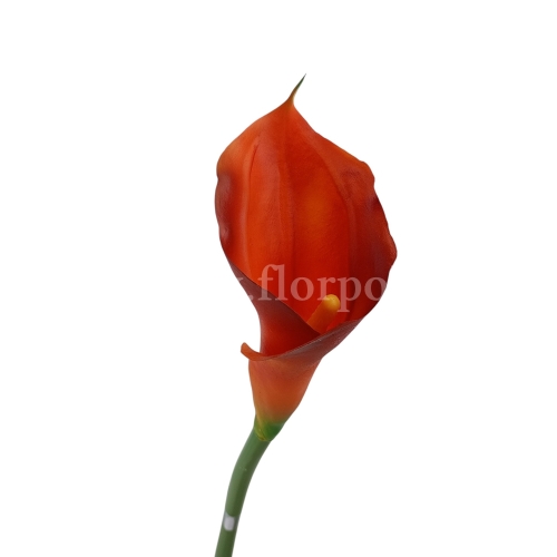 Kalla stulony kielich #C30 orange (AL45106)