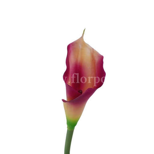Kalla stulony kielich #45 pink/yellow (AL45106)