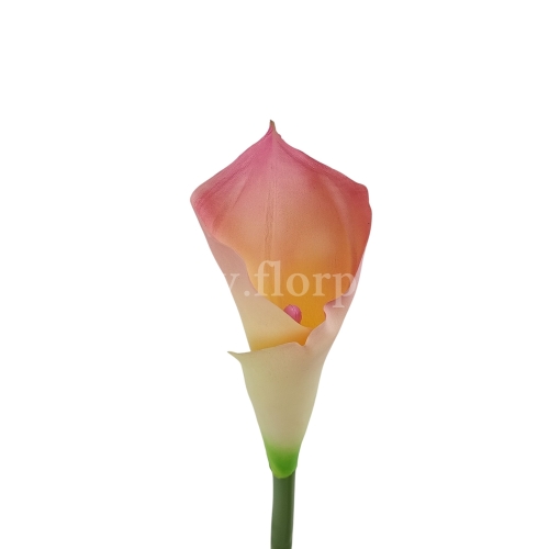 Kalla stulony kielich #C27 pink/cream (AL45106)