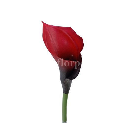 Kalla stulony kielich #LD-52 dk.red (AL45106)