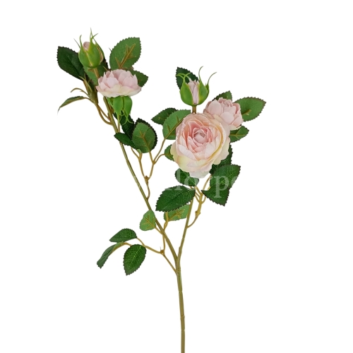 różyczki na łodydze 6szt #3063 delicate apricot (SUN760)