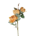 florpol.live 14928.jpg
