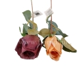 florpol.live 14984.jpg