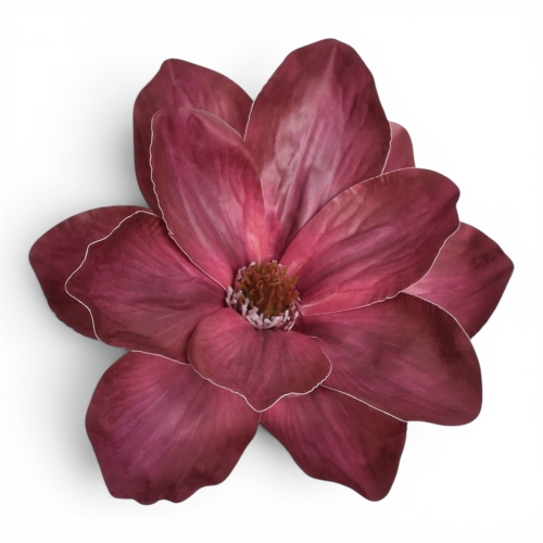 Magnolia wyrobowa 12szt dr.beauty (WEI1007)
