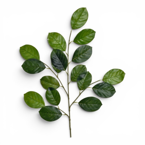  Olcha liść LT.GREEN 12 SZT (GREE024)