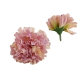florpol.live 14907.jpg