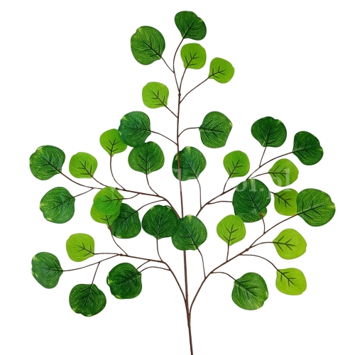 Eukaliptus populus - gałąź 12szt jasna i ciemna zieleń (50DZS_925-007 #3)