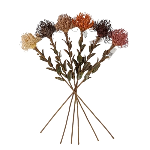 Protea jesienna pojedyncza - karton 24szt mix 1 (*070684)