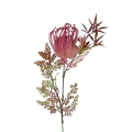 hurtownia florystyczna 14979.jpg