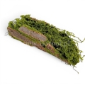 florpol.live15038.jpg